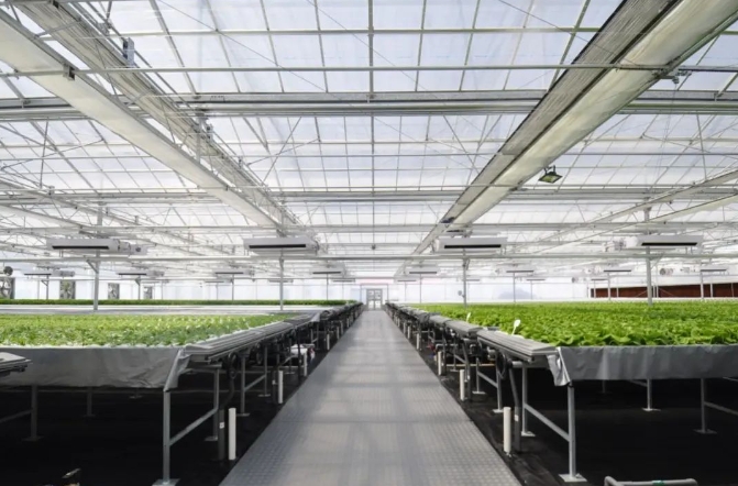 抑制病害孢子传播和害虫迁移；四是不同植物根系分泌的化感物质