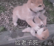 文班亚马连续两场40+两双创马刺队史纪录，成N